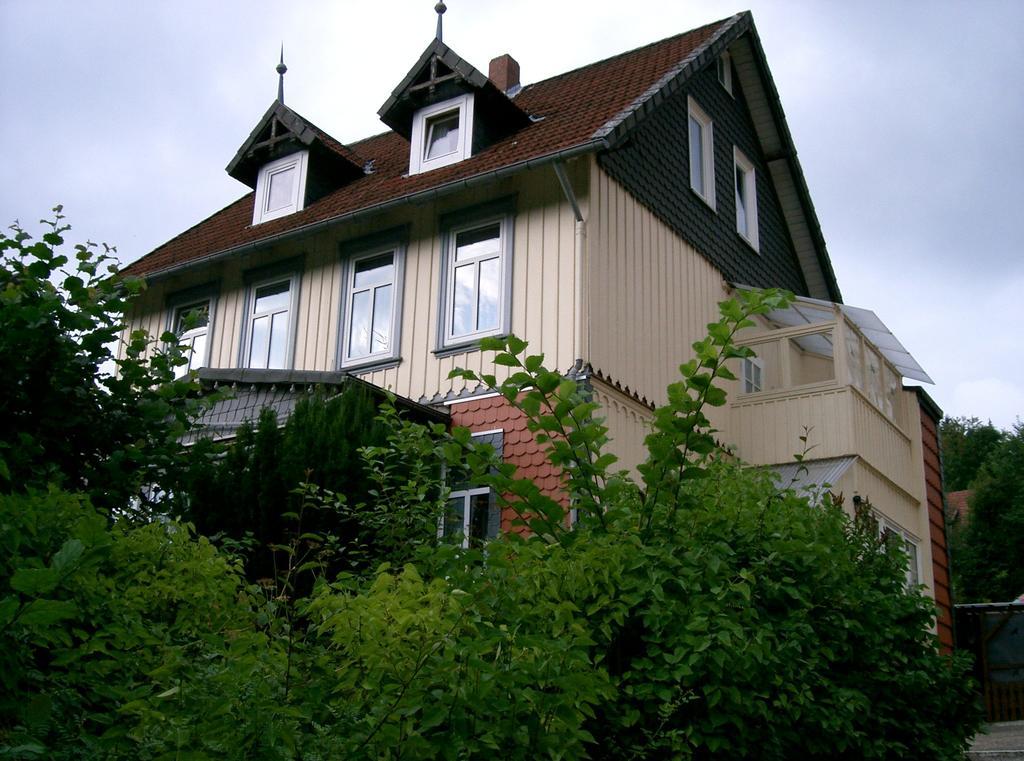 Pension Haus Martha Bad Grund Exterior photo